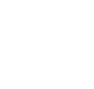 DNV ISO 9001